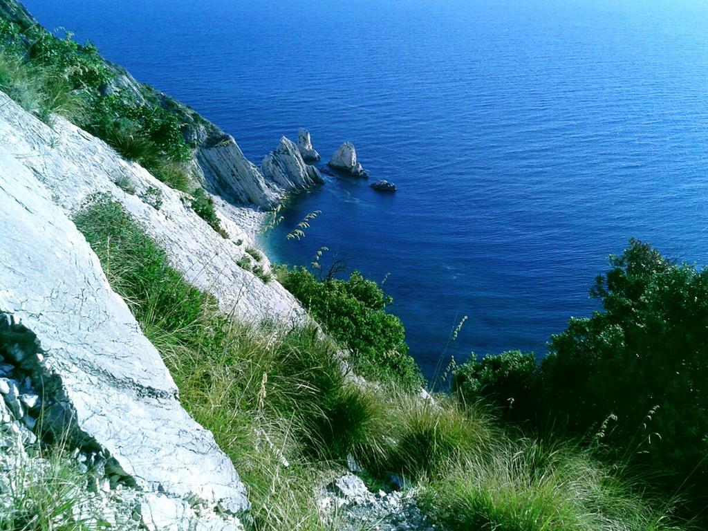 Agromarino Sirolo